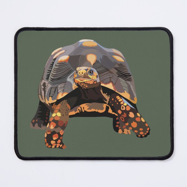 Item preview, R is for Red Footed Tortoise, Red Footed Tortoise Illustration – Tropical Tortoise Art for Reptile Enthusiasts designed and sold by PrettylittlepastelUk.