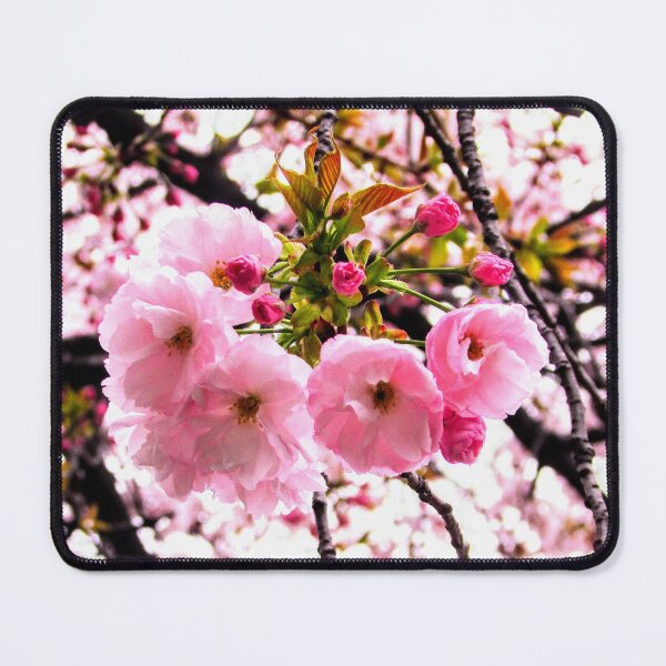 Item preview, Cherry Blossoms designed and sold by TwinkleToes101.