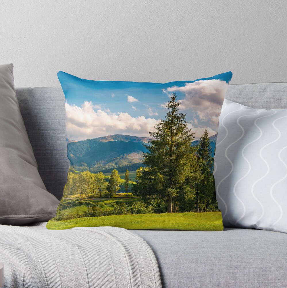 beautiful landscape in mountains Throw Pillow