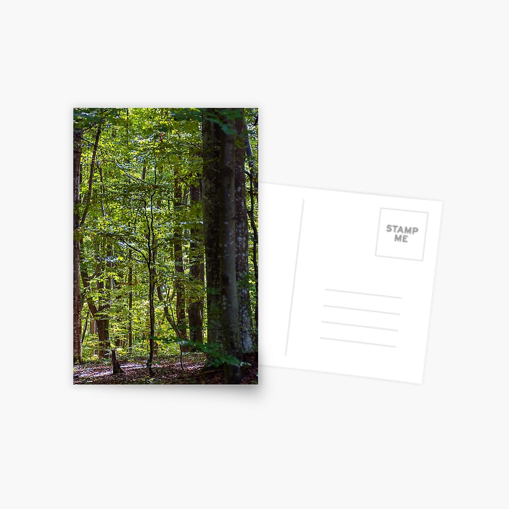 Item preview, Postcard designed and sold by mike-pellinni.