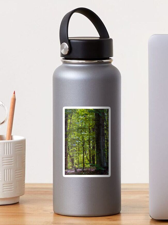 Thumbnail 1 of 3, Sticker, look in to the deep dark beech forest in summer designed and sold by mike-pellinni.