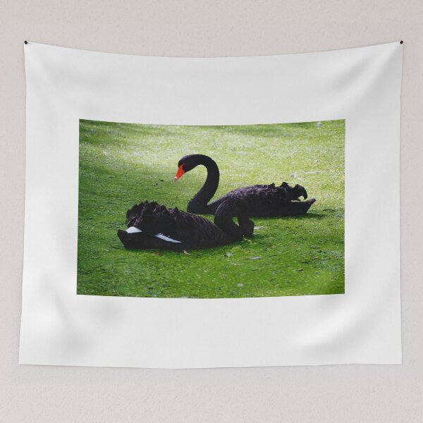 Item preview, Swans in Green  designed and sold by D-GaP.