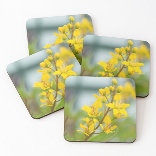 Item preview, Golden Thryallis Flowers designed and sold by ROSE ANN BANILAR.
