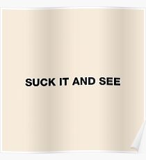suck it and see Poster