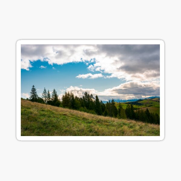 forested grassy hills on a cloudy day Sticker
