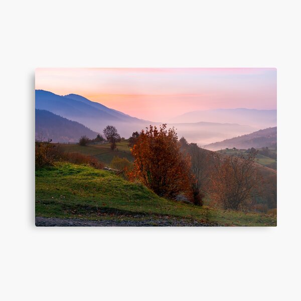 gorgeous purple dawn in mountains Metal Print
