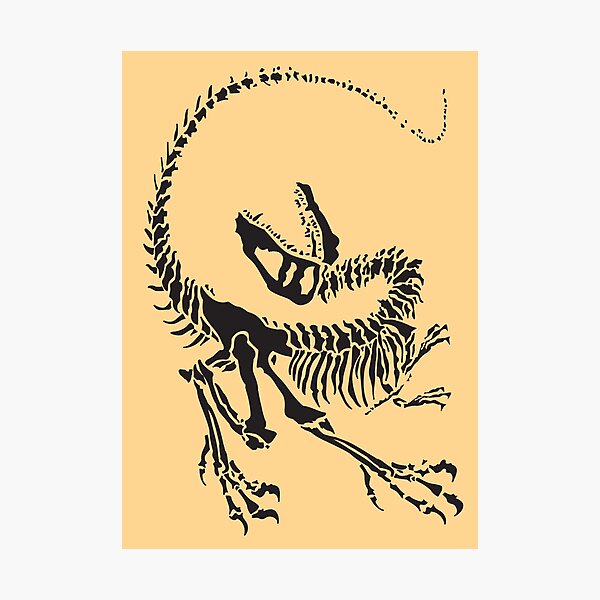 Artikel-Vorschau von Raptor-Fossil, designt und verkauft von ASKEW GRAPHICS.
