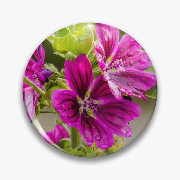 Item preview, Common Mallow designed and sold by ZakYates.