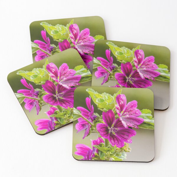 Item preview, Common Mallow designed and sold by ZakYates.