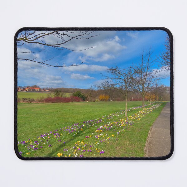 Item preview, Monk Bretton Park Barnsley designed and sold by Alisonchambers2.