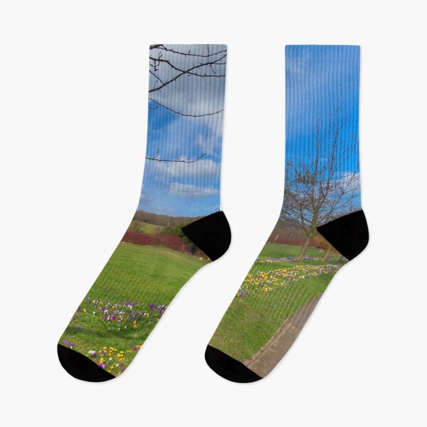 Item preview, Monk Bretton Park Barnsley designed and sold by Alisonchambers2.