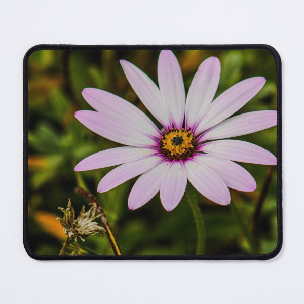 Item preview, African Daisy designed and sold by ZakYates.
