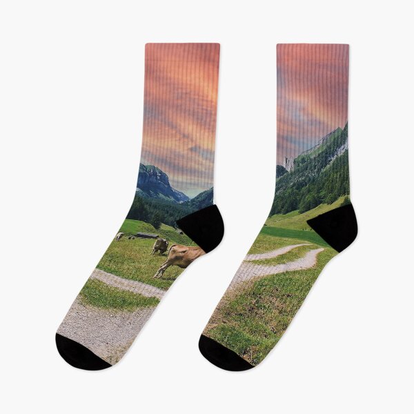Item preview, Holiday in Brülisau, Switzerland designed and sold by Mauswohn.