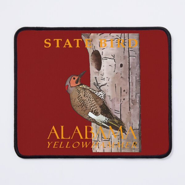 Item preview, Alabama Territory Bird The Northern Flicker designed and sold by taiche.