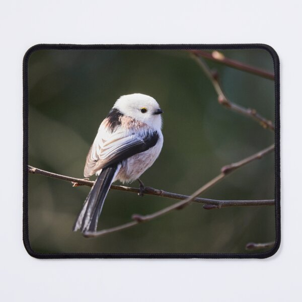 Item preview, Bright one. Long-tailed tit Busy series 1 designed and sold by Jouko Lehto Photography.
