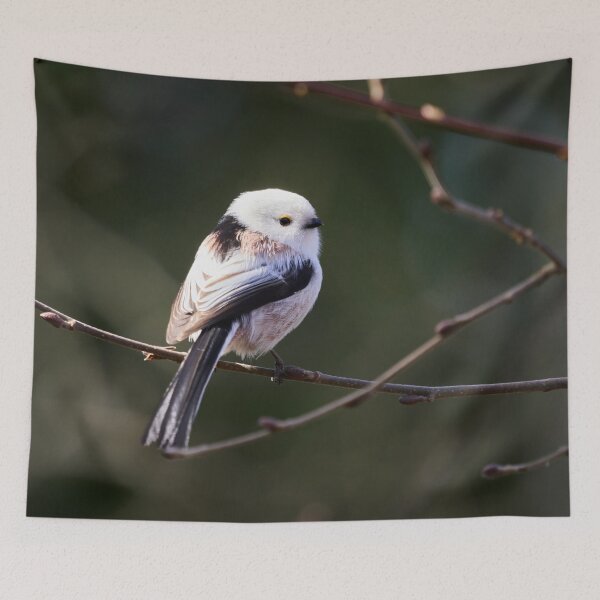 Item preview, Bright one. Long-tailed tit Busy series 1 designed and sold by Jouko Lehto Photography.