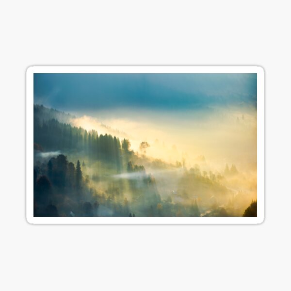trees in glowing morning fog Sticker
