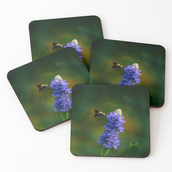 Item preview, Carpenter Bee and Pickerel Weed designed and sold by Tatenda Jinya.