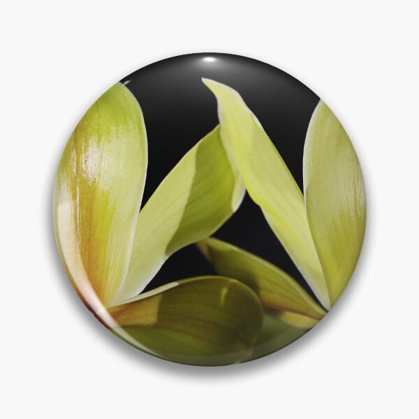 Item preview, Green Orchid Twins Shine designed and sold by Joy Watson - Natural Light Photography .