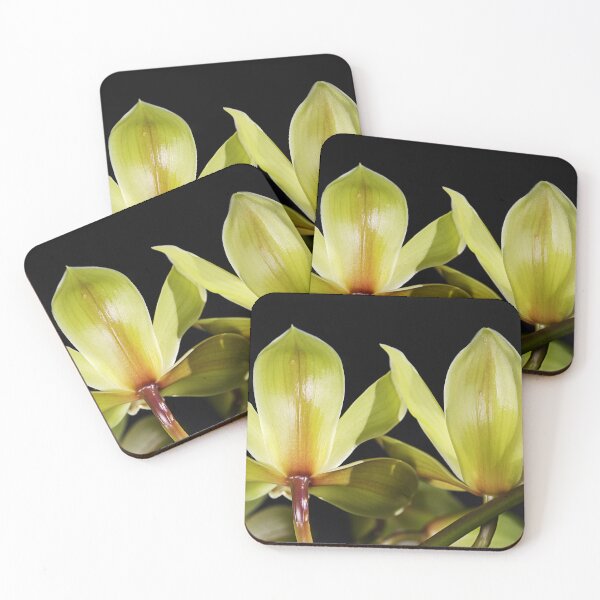 Item preview, Green Orchid Twins Shine designed and sold by Joy Watson - Natural Light Photography .