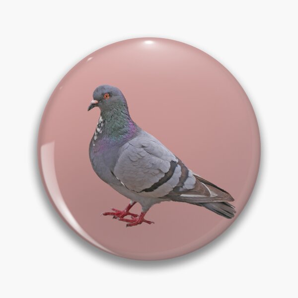 Item preview, Pigeon designed and sold by STHogan2.