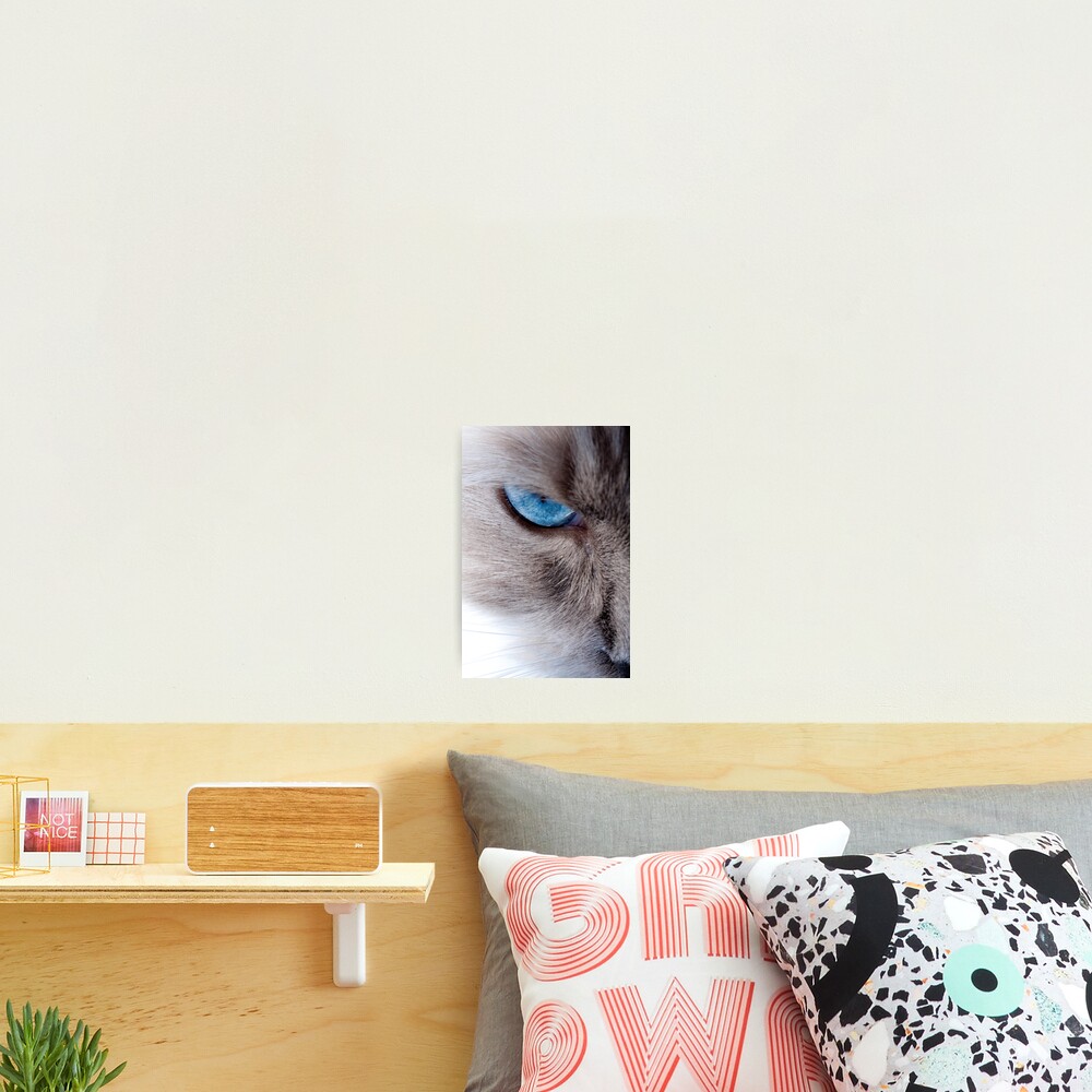 Item preview, Photographic Print designed and sold by markv.