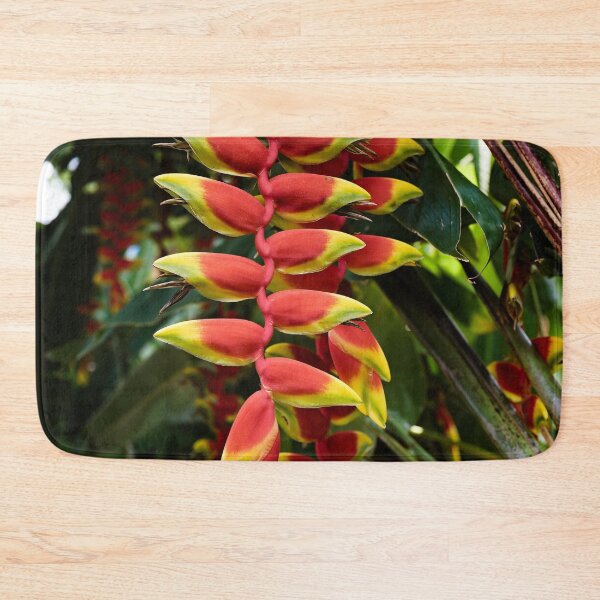 Item preview, Heliconia rostrata, hanging tropical gem designed and sold by franck380.