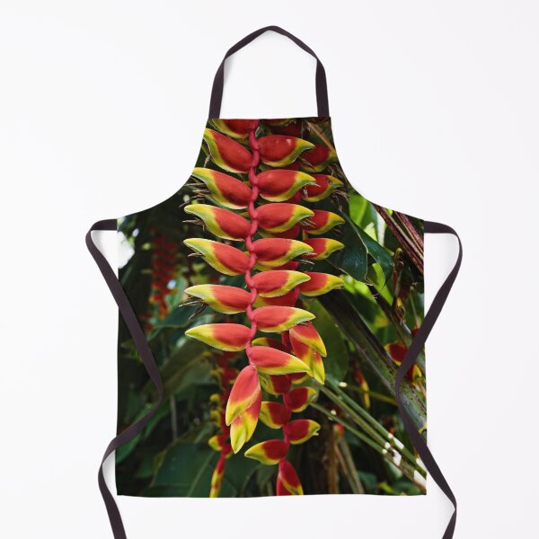 Item preview, Heliconia rostrata, hanging tropical gem designed and sold by franck380.