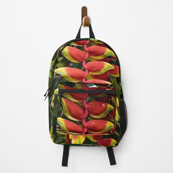 Item preview, Heliconia rostrata, hanging tropical gem designed and sold by franck380.