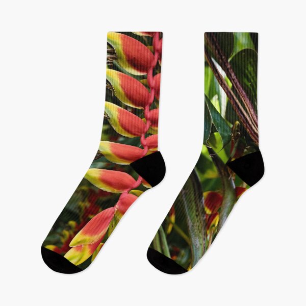 Item preview, Heliconia rostrata, hanging tropical gem designed and sold by franck380.