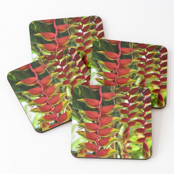 Item preview, Heliconia rostrata, hanging tropical gem designed and sold by franck380.