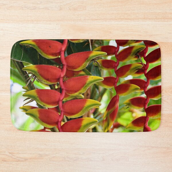 Item preview, Heliconia rostrata, hanging tropical gem designed and sold by franck380.