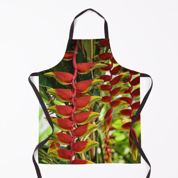 Item preview, Heliconia rostrata, hanging tropical gem designed and sold by franck380.