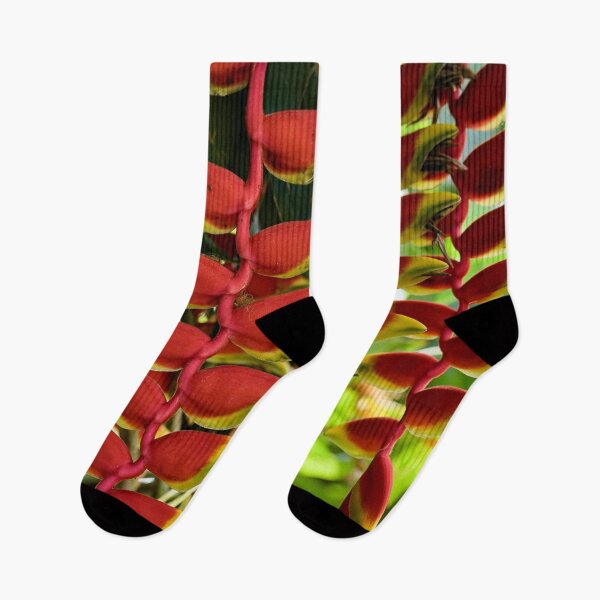 Item preview, Heliconia rostrata, hanging tropical gem designed and sold by franck380.