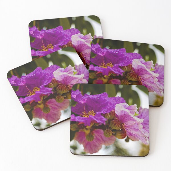 Item preview, Tropical explosion of flowering Lagerstroemia designed and sold by franck380.