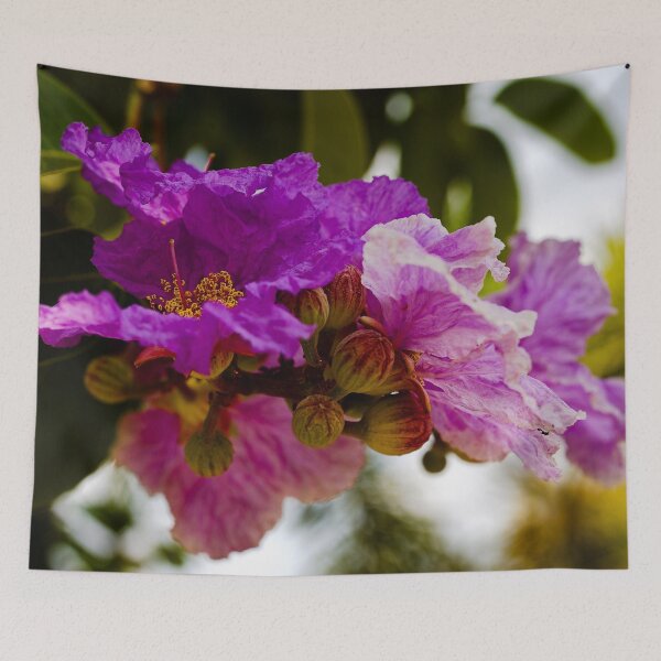 Item preview, Tropical explosion of flowering Lagerstroemia designed and sold by franck380.