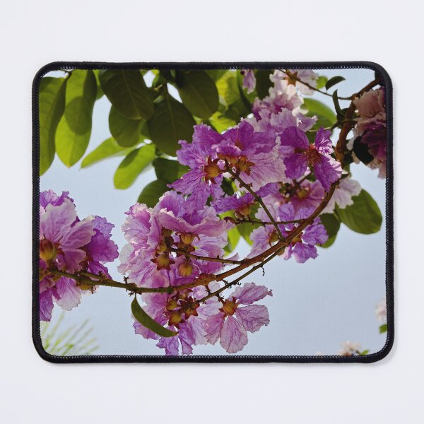 Item preview, Tropical burst of blooming Lagerstroemia designed and sold by franck380.