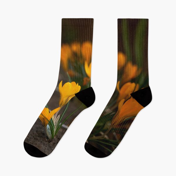 Item preview, crocus flowers bloom in the garden designed and sold by IgorKovalenko.