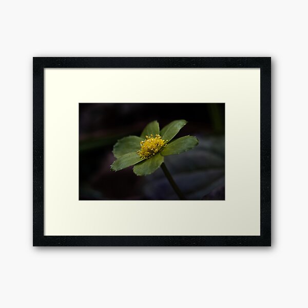 Item preview, Flower Macro Shot designed and sold by ArtByCake.