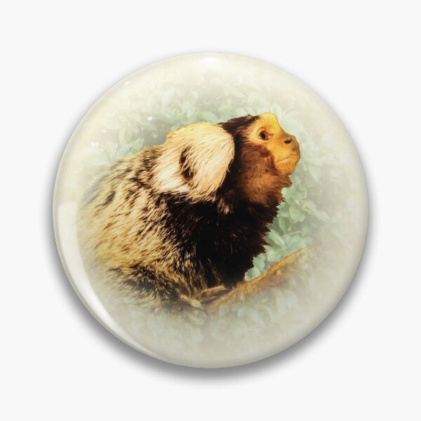 Item preview, Marmoset designed and sold by Guardi71.