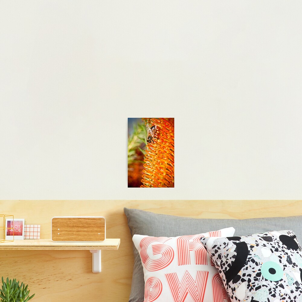 Item preview, Photographic Print designed and sold by markv.