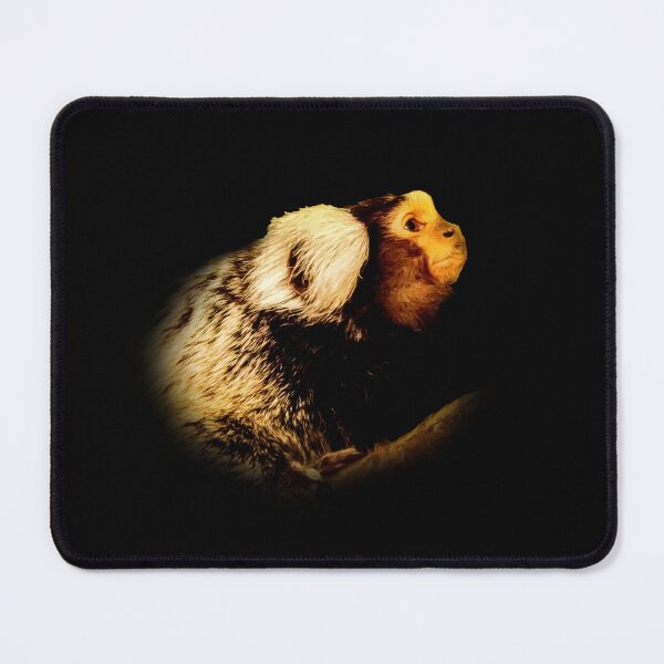 Item preview, Marmoset designed and sold by Guardi71.