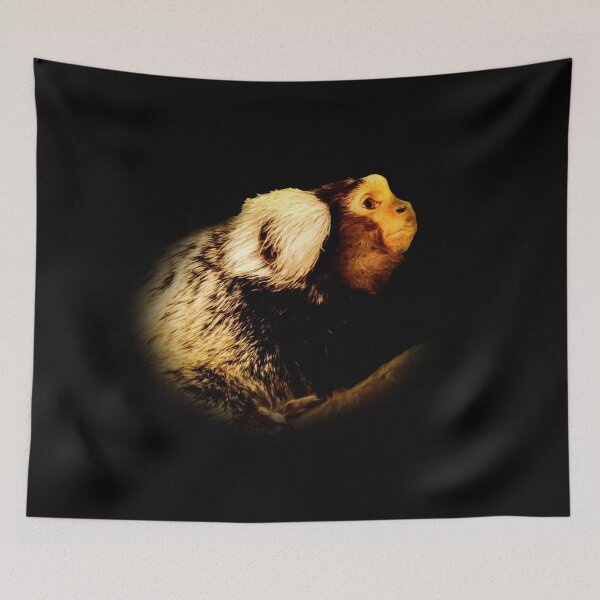 Item preview, Marmoset designed and sold by Guardi71.