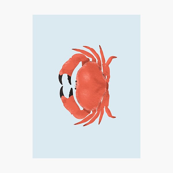 Item preview, Crab designed and sold by KristinePaulsen.