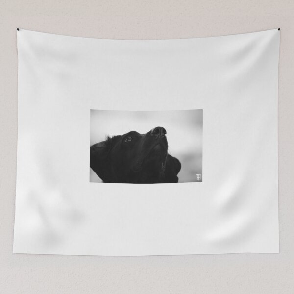 Item preview, Dax Tree  designed and sold by HTHphotography.