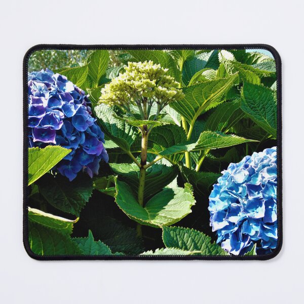 Item preview, Blue hydrangeas designed and sold by ART22.