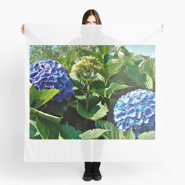 Aperçu de l'œuvre Blue hortensias créée et vendue par ART22.