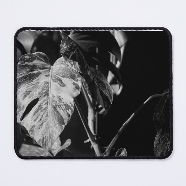 Item preview, Leaves, Monsteria designed and sold by HTHphotography.
