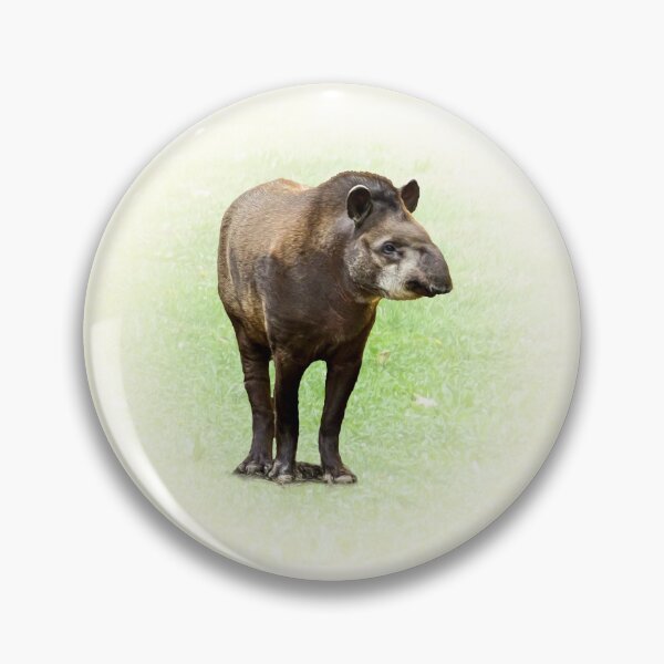 Item preview, Tapir designed and sold by Guardi71.