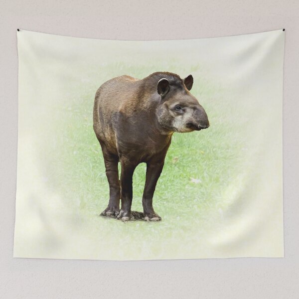 Item preview, Tapir designed and sold by Guardi71.